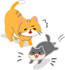 ▲▼。(圖/毛起來提供)