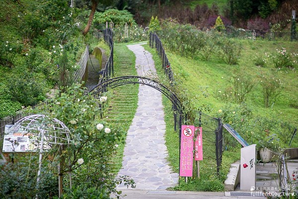 ▲▼苗栗雅聞玫瑰園。（圖／滿分提供）