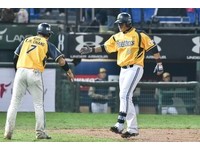 ▲▼中華職棒30年開季第2戰,林智勝。（圖／記者李毓康攝）