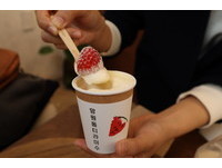 草莓口味提拉米蘇吃得到整顆草莓。
