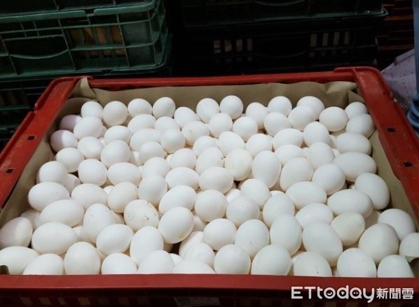 ▲▼台南芬普尼毒蛋流北市蛋行，下架逾3萬顆。（資料圖／台北市衛生局提供）