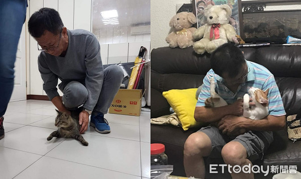 ▲▼老闆帶頭玩貓「上班幸福臉弄孫」! 女兒嘆:牠才是親生的。(圖/網友Chloe Wu授權提供)