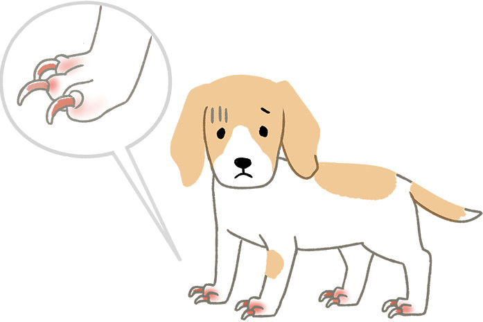 ▲▼狗狗剪指甲 。(圖/毛起來 MaoUp提供)