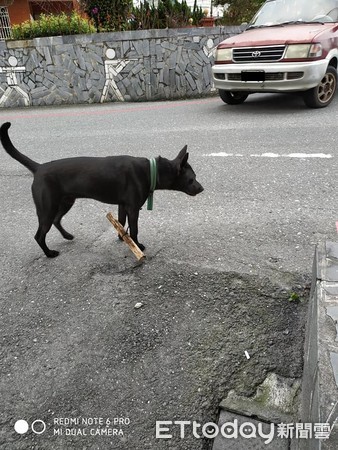 （圖／網友提供，請勿隨意翻拍，以免侵權。）