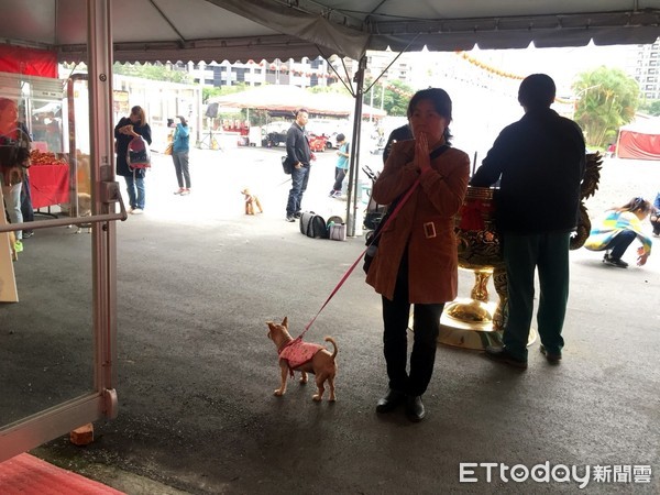 ▲大甲媽祖北巡寵物日。（圖／記者陳靜攝）