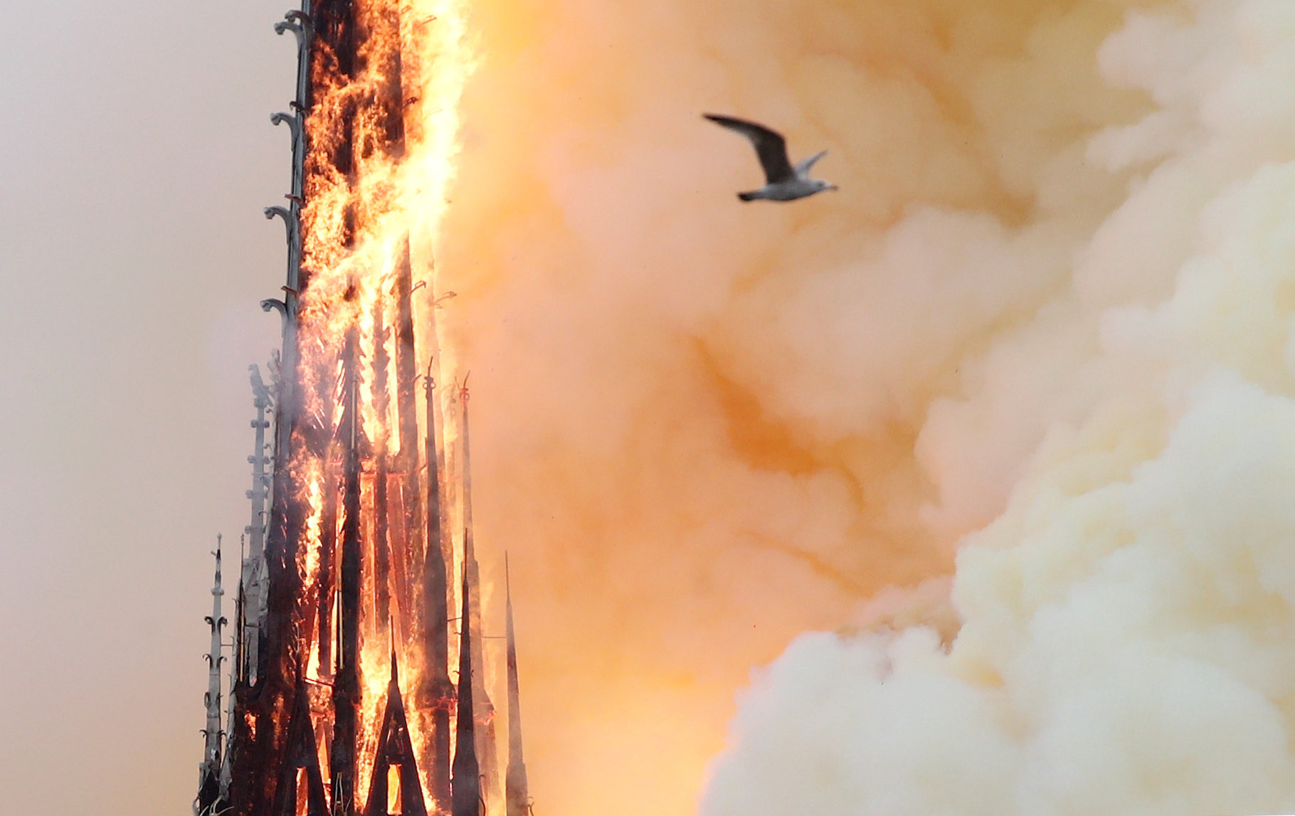 ▲巴黎聖母院（Notre-Dame de Paris）；巴黎聖母主教座堂（Cathédrale Notre-Dame de Paris）火災。（圖／路透社）