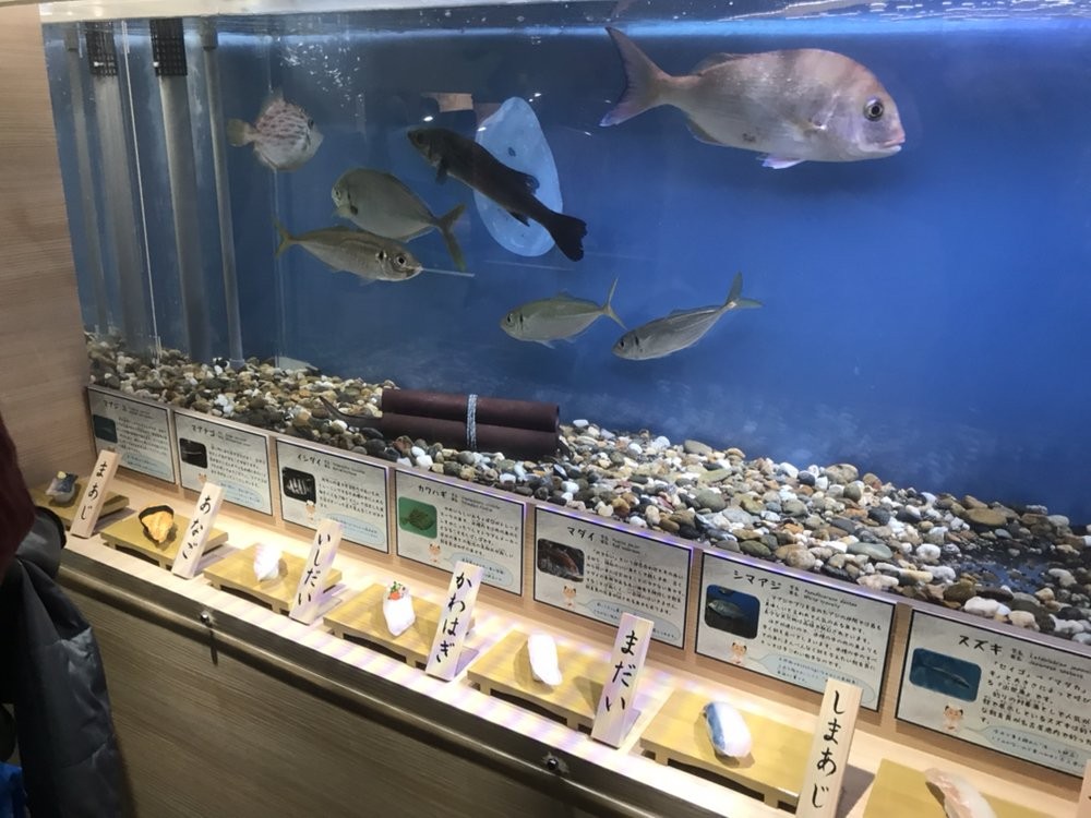 ▲▼名古屋港水族館「壽司料特展」。（圖／翻攝自推特，gibson_jpg）