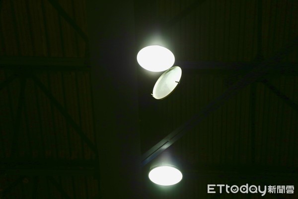 ▲▼      台北體育館一樓燈罩因為地震脫落      。（圖／記者洪偵源攝）