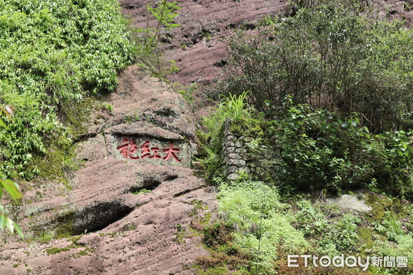 ▲武夷山穀雨「開山喊茶」　祈求豐收也傳承古老茶文化。（圖／記者蔡紹堅攝）