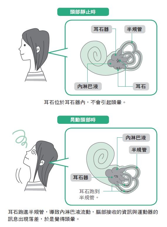 ▲▼             。（圖／方舟文化提供）