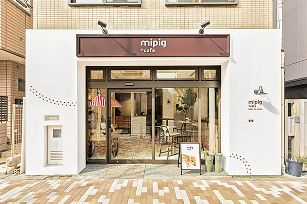 ▲東京目黑區出現的迷你豬咖啡廳 。（圖／mipig.cafe官網）