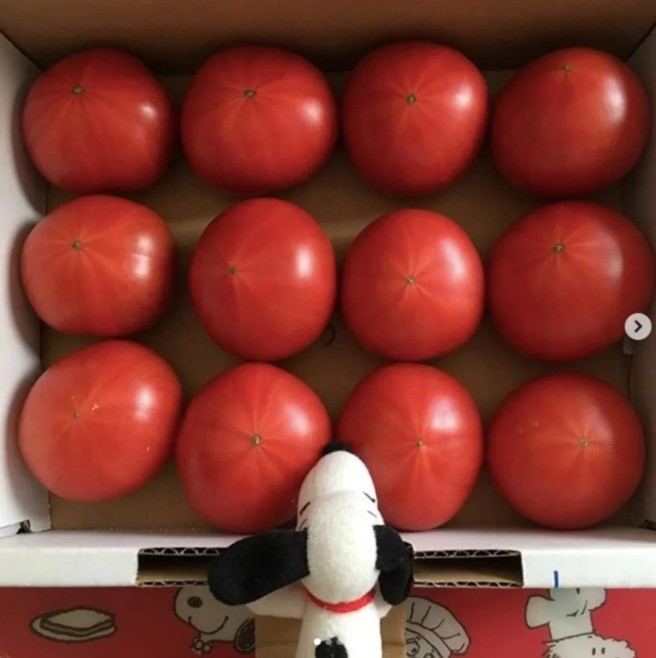 ▲番茄減肥。（圖／美人圈）