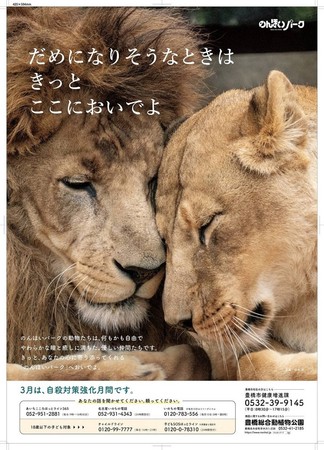 ▲日本21歲人氣獅辭世。（圖／翻攝自豐橋綜合動植物園官網）