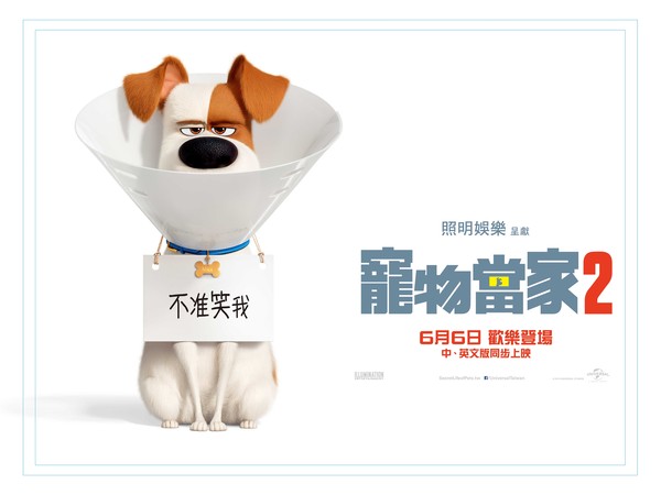 ▲電影《寵物當家2》將於6月6日上映。（圖／翻攝自環球影片官方頻道） 