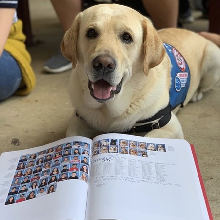 ▲年度紀念冊裡還放著14隻治療犬的個人照。（圖／翻攝自推特／Aerie Yearbook）
