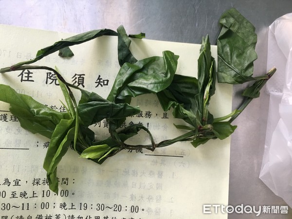 ▲黑面馬,水泡。(圖/彰化醫院提供)