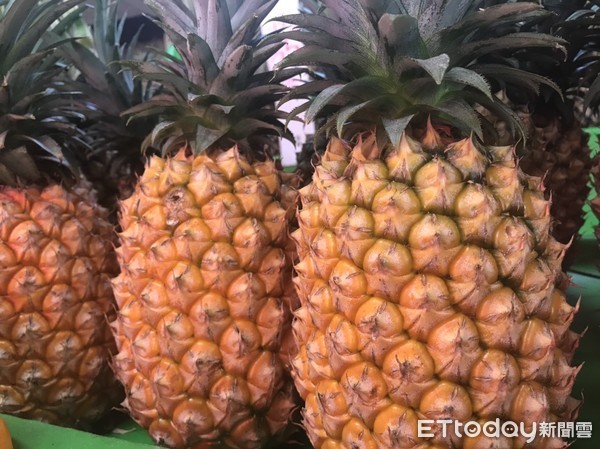 ▲鳳梨。(圖/輔大醫院提供)