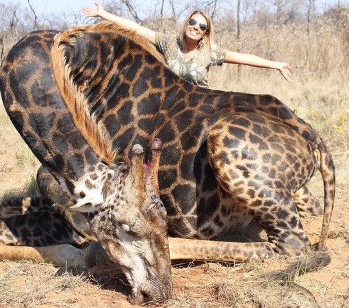 ▲▼ 美國女子塔莉（Tess Thompson Talley）2017年在南非獵殺一隻黑色長頸鹿，消息在去年傳出後引發許多人的不滿，接連收到死亡威脅。（圖／翻攝自臉書@ Tess Talley） 