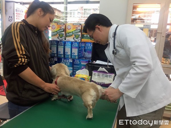 ▲獸醫師幫毛小孩健檢。（示意圖／記者陳靜攝）