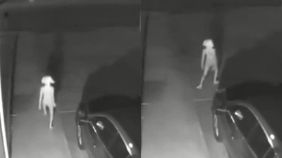 家門監視器拍到「哈利波特的多比」清晰身影　10秒影片引千萬人質疑