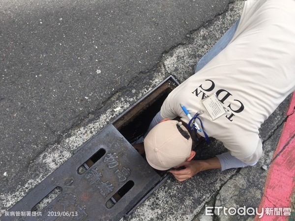 疾管署防疫人員仔細檢視盆栽是否有病媒蚊孳生。(圖/記者嚴云岑攝)