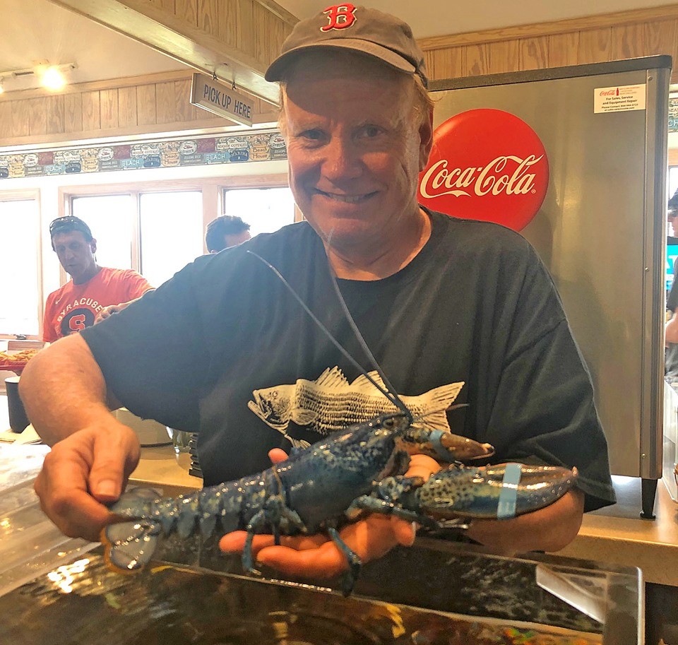 ▲▼餐廳老闆捐出稀有藍龍蝦。（圖／翻攝自Facebook／Arnold`s Lobster & Clam Bar）