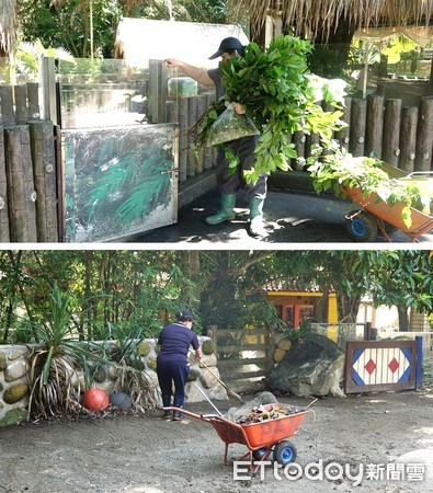 ▲台北動物園今起10天「不對外開放」　員工照常上班有特別任務。（圖／台北市立動物園）