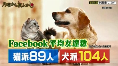 貓狗大不同！　寵物反映「飼主特質」　狗派容易幸福、貓派智商較高