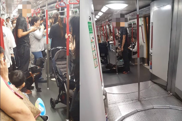 香港導盲犬搭地鐵被誤會是比特犬。（圖／翻攝自臉書社團「香港花生友」）