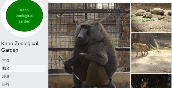 ▲▼奈及利亞卡諾動物園（Kano Zoological Gardens）。（圖／翻攝自Kano Zoological Gardens粉專）