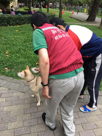 ▲▼新北市公園隨機稽查寵物晶片　飼主沒做「這3點」至少罰3千！（圖／新北市動保處提供）