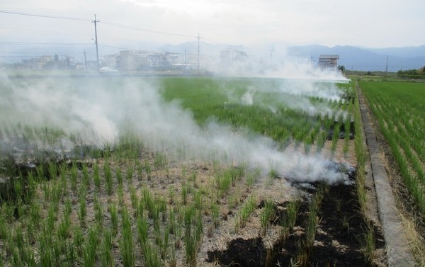 ▲▼農民燃燒稻草，會被裁處10萬元以下罰鍰。（圖／宜蘭環保局提供，下同）