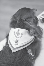 ▲▼ 橡樹林出版社《我很瞎，我是小米酒：台灣第一隻全盲狗醫生的勵志犬生》