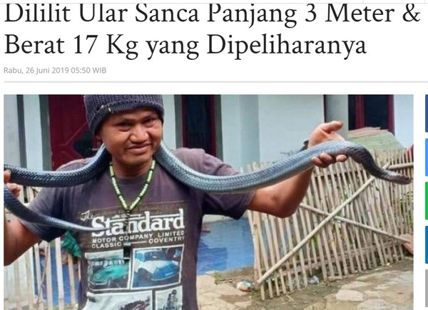 幫3公尺長17公斤巨蟒洗澡　愛蛇男慘被寵物活活勒死。（圖／翻攝自印尼Tribunnews.com）