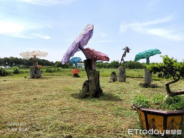 ▲補囊外型形似蘑菇,網友戲稱為蘑菇村。(圖/翁曉萍提供)