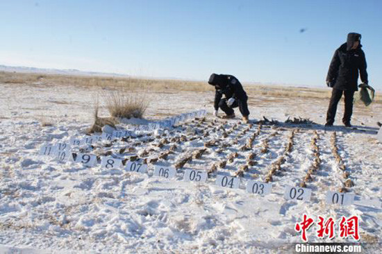 ▲30kg毒餌藏棲息地！3男「濫殺4400隻百靈鳥」謀利　判賠近2000萬（圖／中新社）