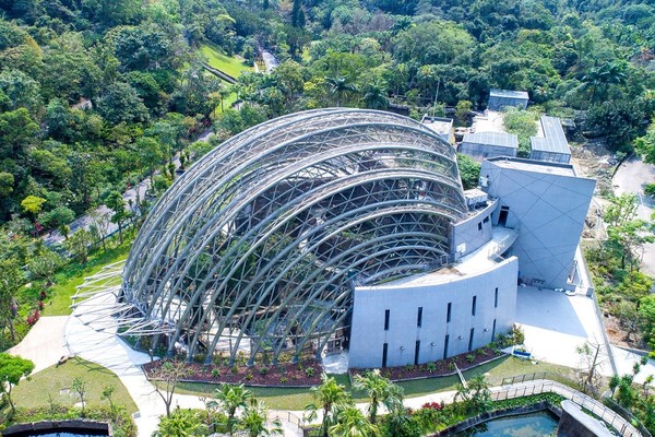 ▲「巨型穿山甲」匍匐台北動物園　原來是熱帶雨林動物新家。（圖／台北市立動物園提供）