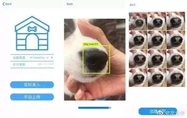 ▲▼曠視科技推出寵物鼻紋識別。（圖／翻攝微博／寵業家）