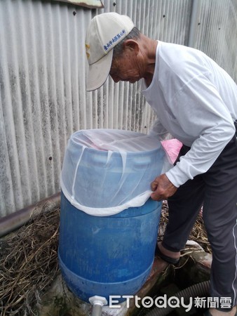 ▲如果長期用儲水桶接雨水澆灌農作物,一定要加細紗網覆蓋,避免積水讓病媒蚊飛入產卵而孵育孳生孑孓,使用帆布遮蓋物品防雨水,沒有巡檢帆布易變成隱性孳生源。(圖/記者林悅翻攝,下同)