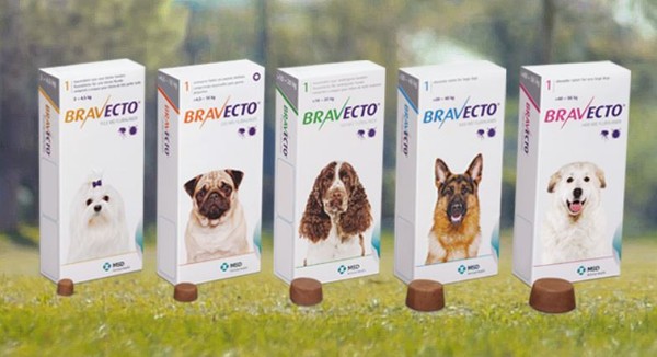 ▲常用於貓狗的治療藥物「一錠除」（Bravetco）有長達3個月的功效。（圖／翻攝自官網／Bravetco）