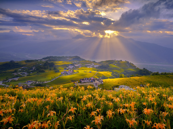 ▲▼花蓮六十石山。（圖／花蓮富里鄉農會提供）