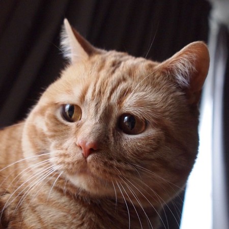 (圖/翻攝自IG/kiko11232015)