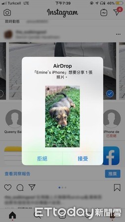 ▲Chao Yu也收到了來自陌生人的狗狗照片。