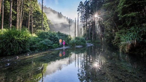 ▲阿里山景點新玩法。（圖／Tripbaa趣吧！亞洲自由行專家提供）