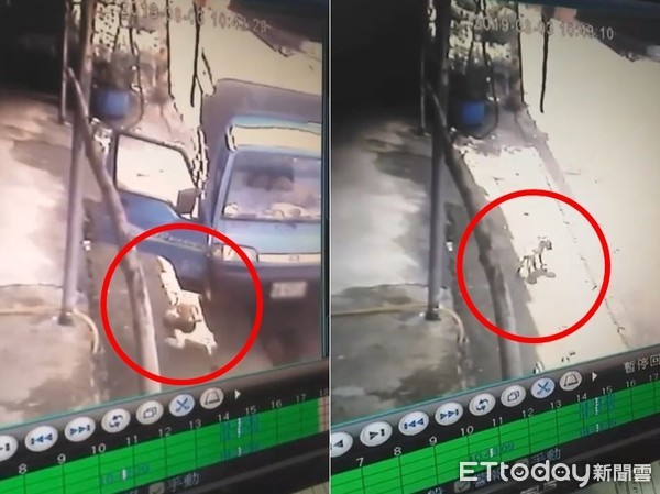 ▲台南小幼犬被貨車司機虐待棄養。（圖／網友白珮瑩授權提供）