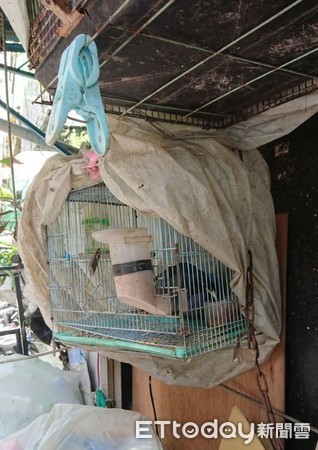 ▲飼養亡兒留下的寵物鳥...竟然遭到偵辦：不知道是保育類！（圖／新北市動物保護處提供。）