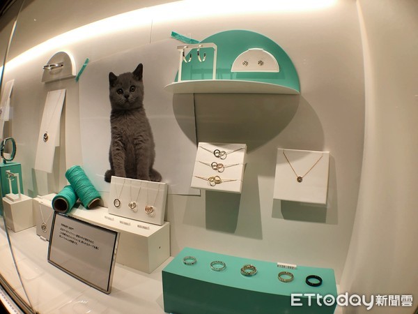 ▲東京Tiffany期間限定概念店。（圖／記者陳詩璧攝）