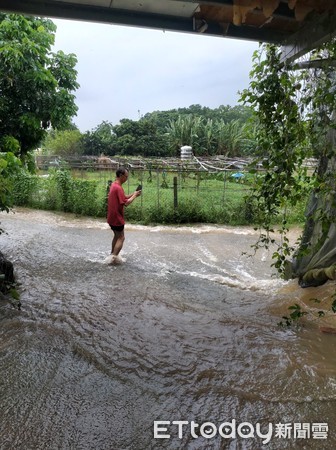 ▲▼新社豪大雨，讓農園淹沒。（圖／民眾提供）