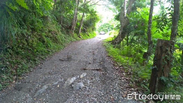 ▲▼黑熊協會指出相機和樹枝都裝鐵鍊防竊，現場有鋸樹痕跡，顯示竊賊是刻意偷竊。（圖／玉里分局提供，下同）