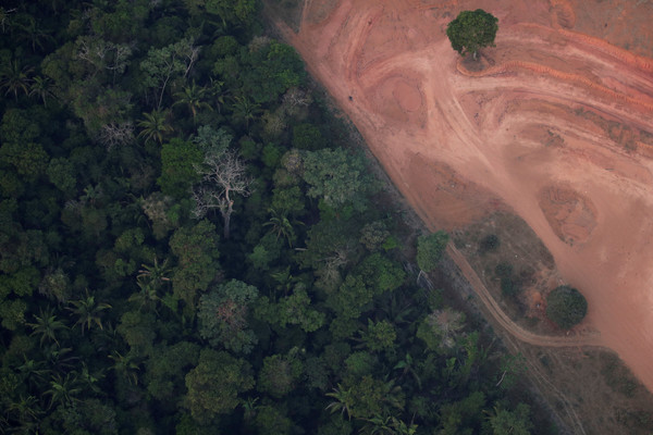 ▲亞馬遜雨林天然植被，以及一旁被「清理」過的大片空地。（圖／路透）